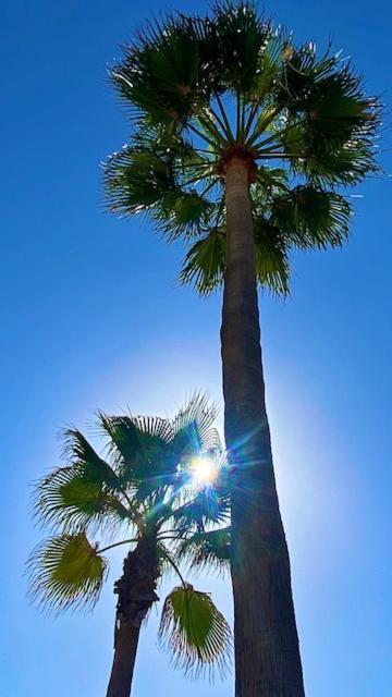 Loving Mediterranean Home Estepona Exteriér fotografie